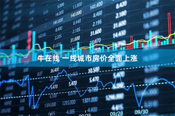 牛在线 一线城市房价全面上涨