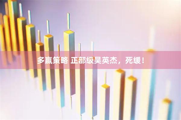 多赢策略 正部级吴英杰，死缓！
